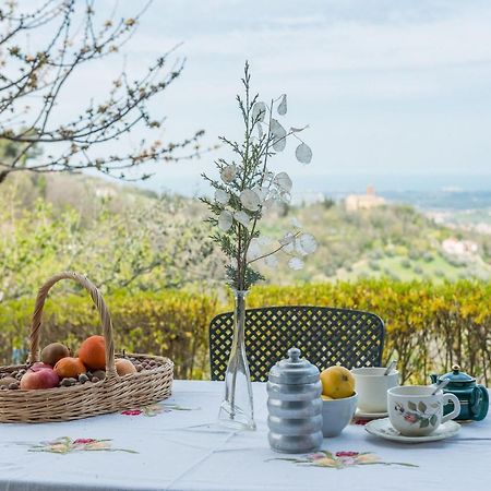 La Nocciola By Posarellivillas Cerreto Castello Экстерьер фото